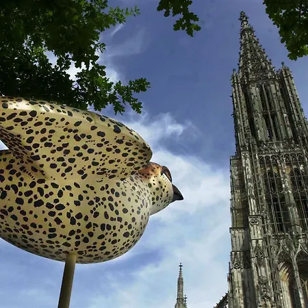 Scotty & Emily Hotel